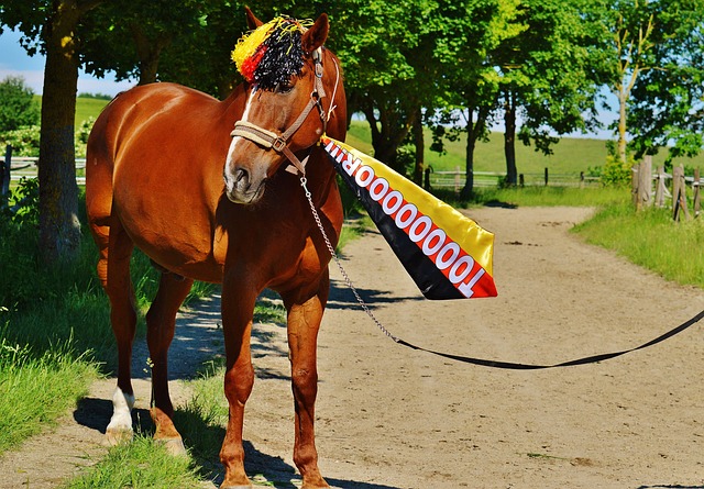 心並不只是 心並不只是