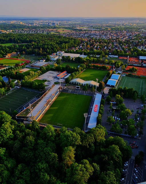 针对外贸企 针对外贸企