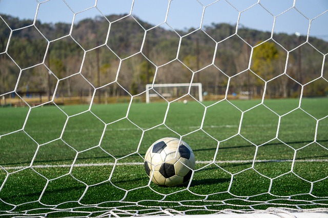 们带来无与 们带来无与