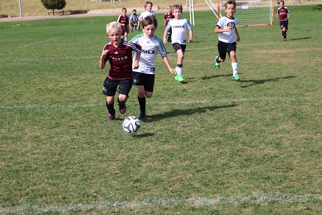 球赛场上 球赛场上