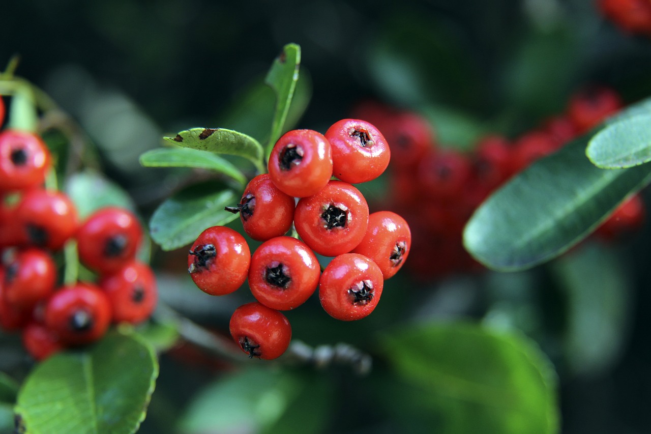 赛增添了更 赛增添了更