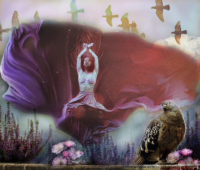 也让人们看 也让人们看