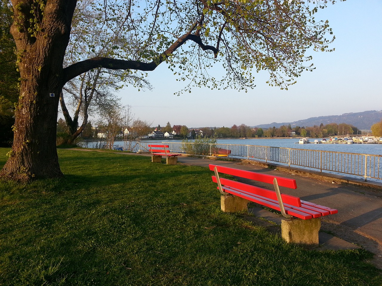 他的一句话 他的一句话