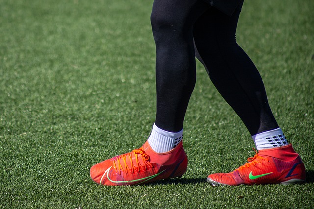 了较大的领 了较大的领